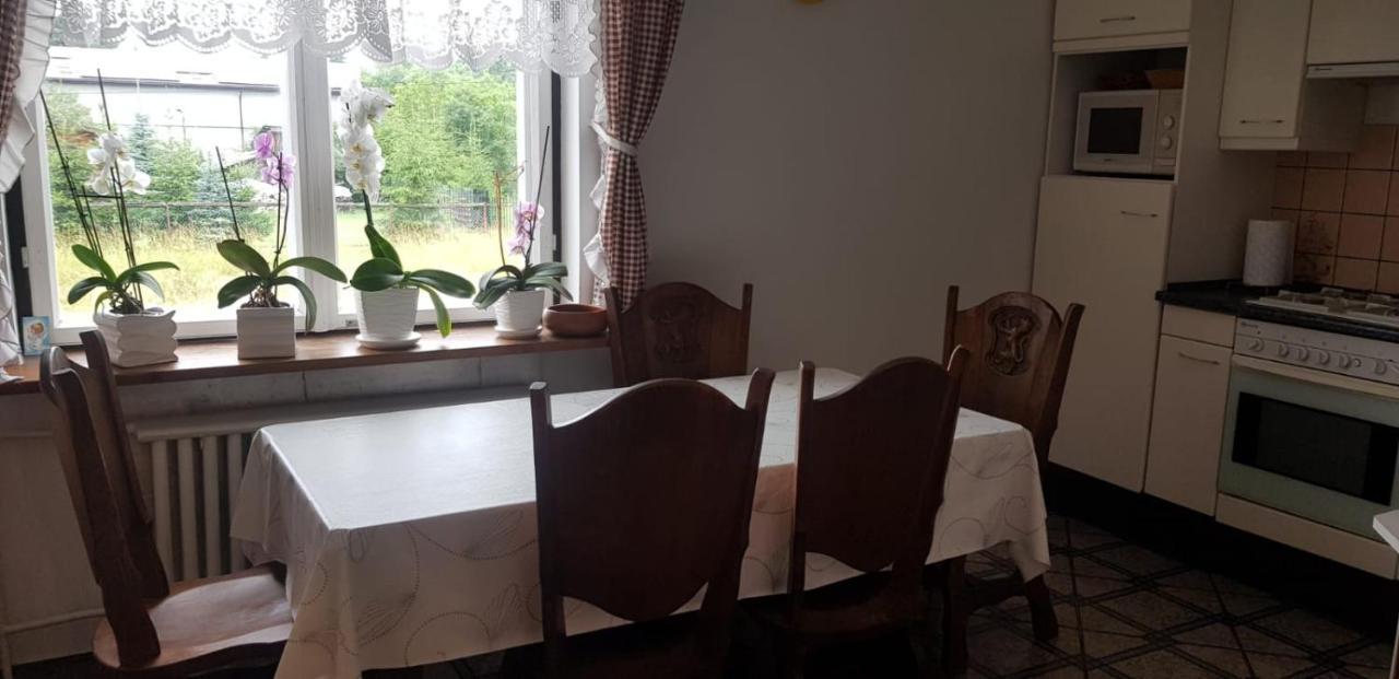 Swierkowy Zakatek Krasnobród Εξωτερικό φωτογραφία